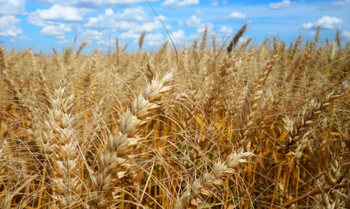 Agro