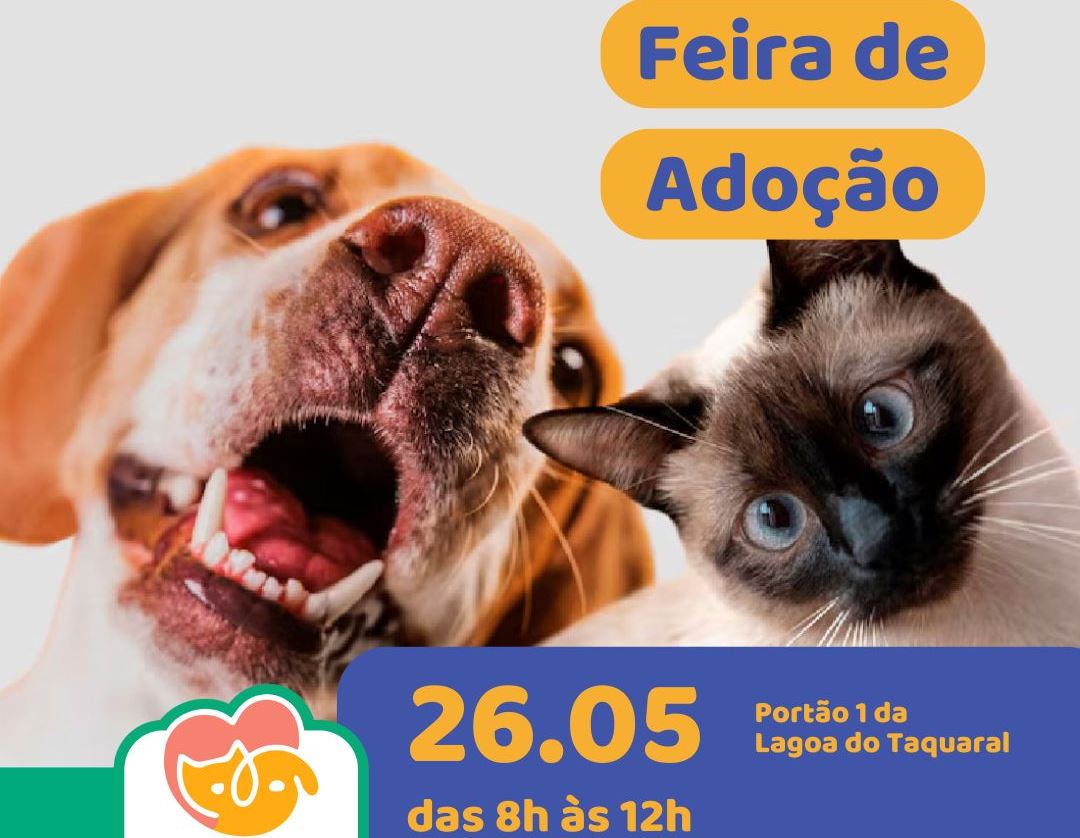Animal 3