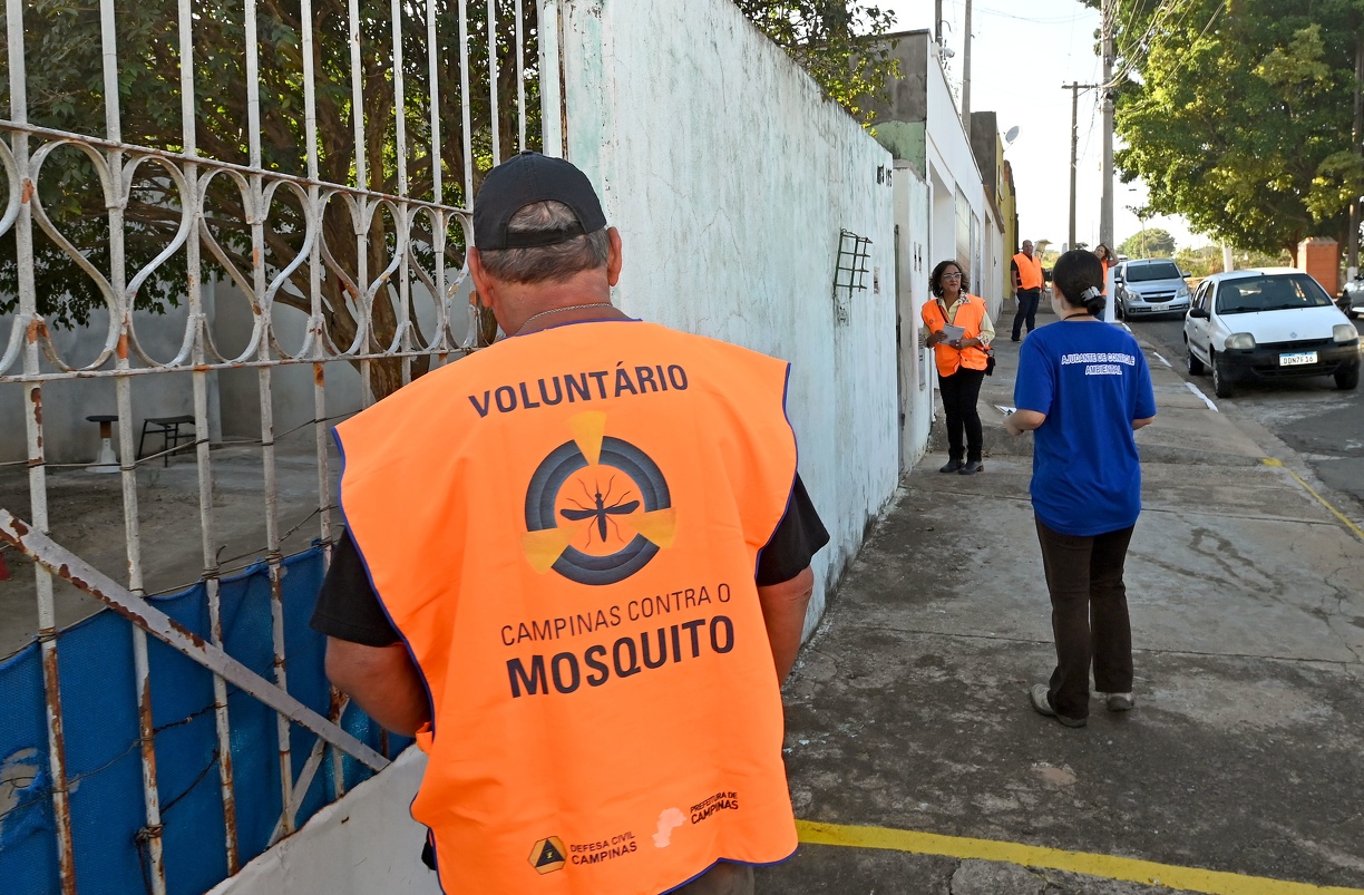 Mosquito