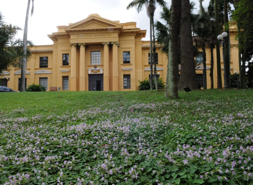 Simpósio gratuito para mães atípicas será no dia 6 em Campinas