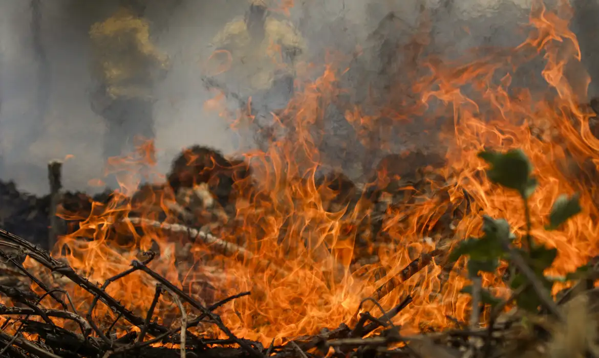 Incêndio 5