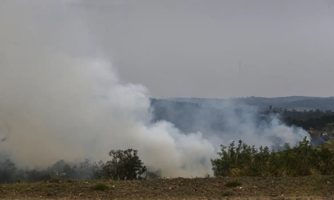 queimada