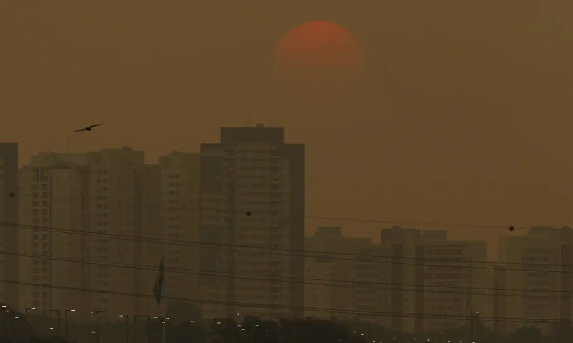 COP 29 2