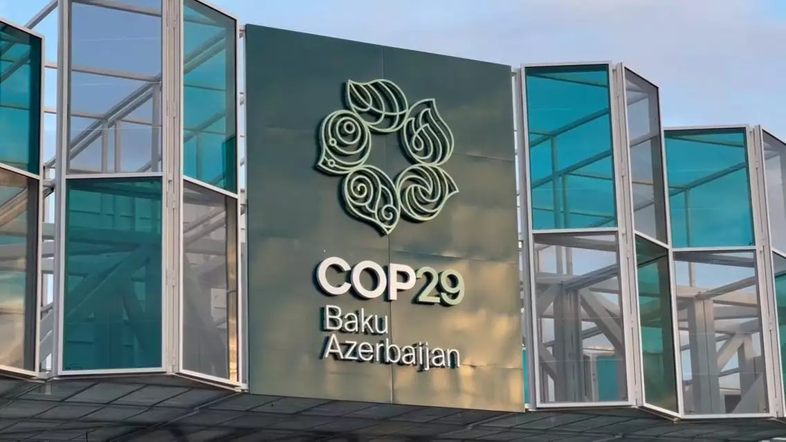 Cop 29 (18)