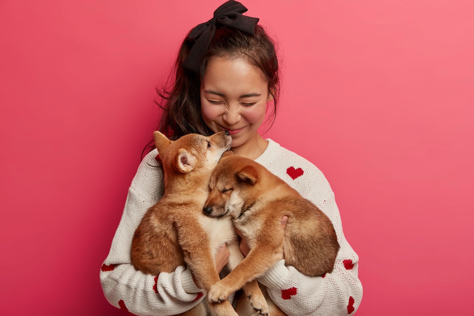 Pet