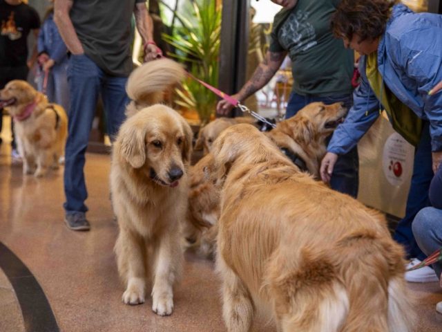 Galleria Shopping promove Pet Day com Encontro de Salsichas
