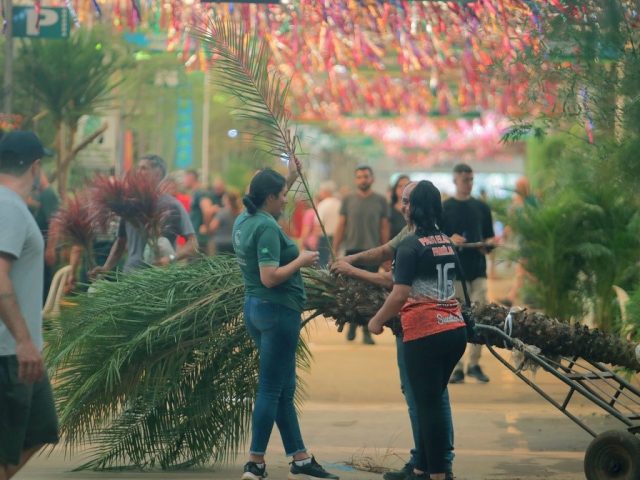 Ceasa Campinas vai realizar seminário no Mercado de Flores