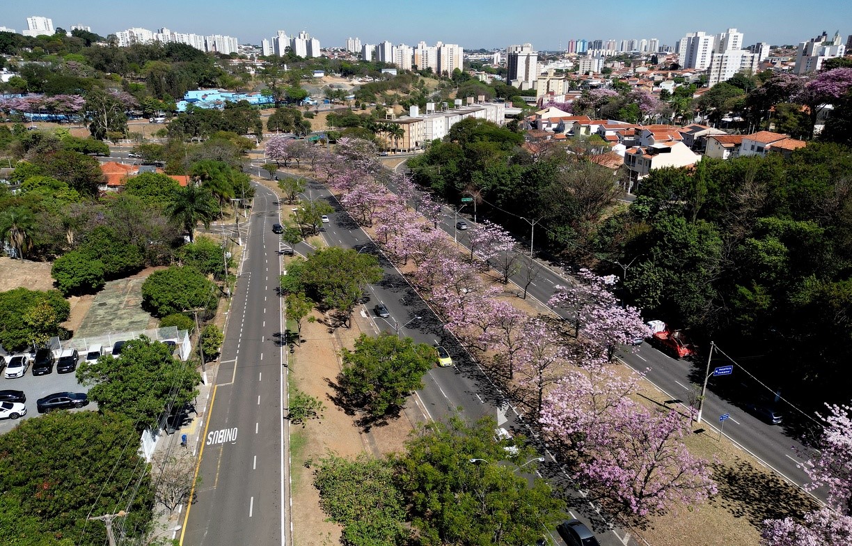 iPÊ