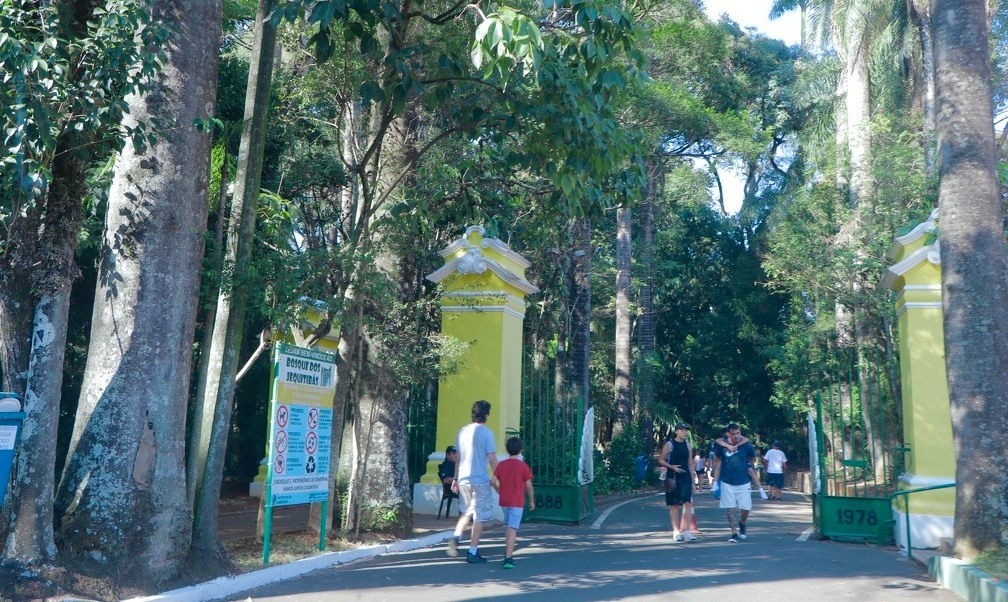 Bosque Interativo terá exposição de falcões, serpentes e lagartos