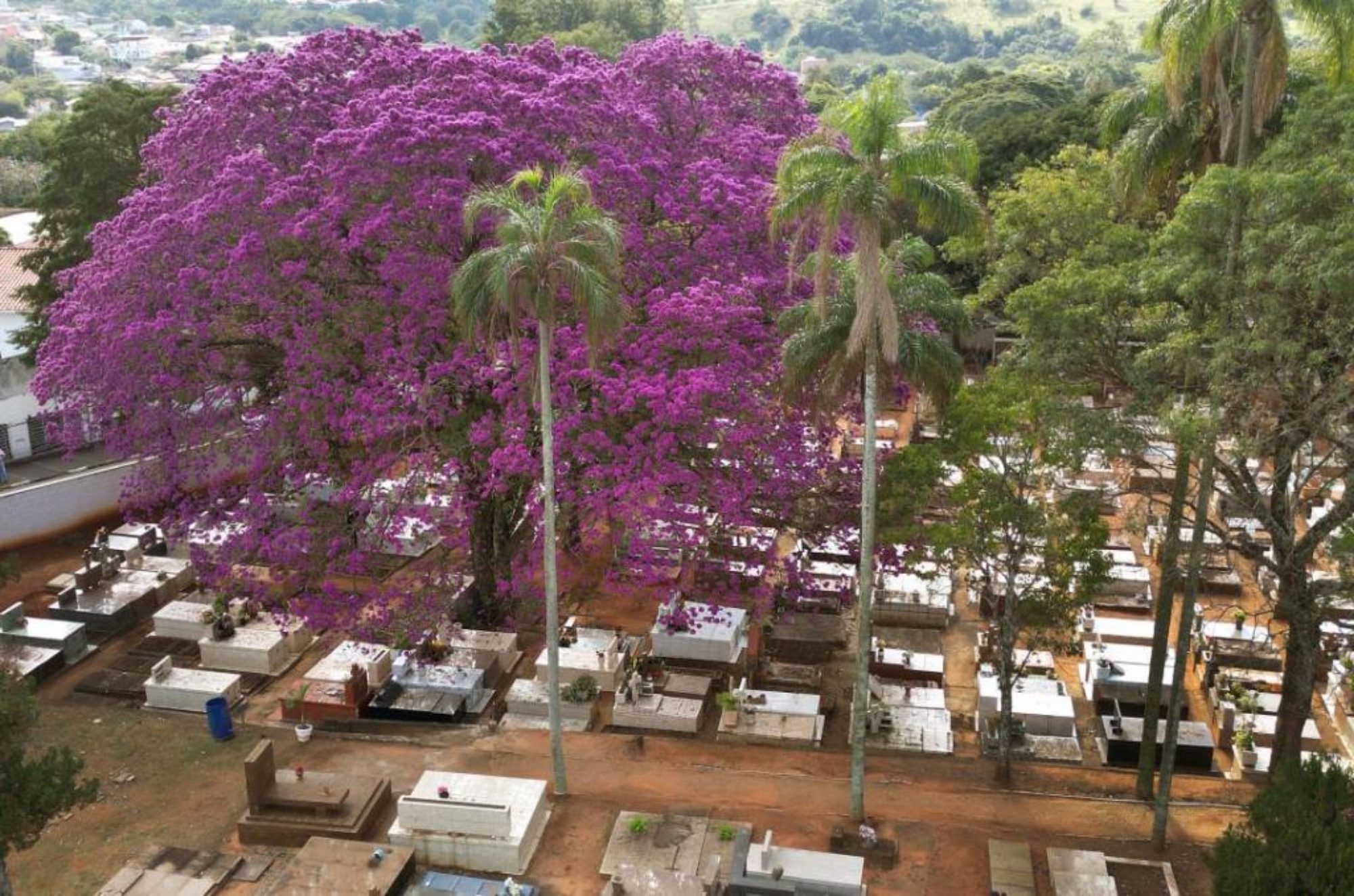 Cemitério 2